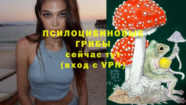 шишки Балабаново
