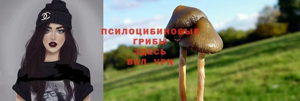 МДПВ Балахна