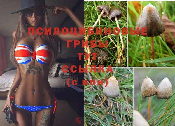 герыч Баксан