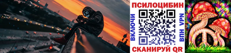 Галлюциногенные грибы Psilocybine cubensis  kraken как зайти  Ревда 